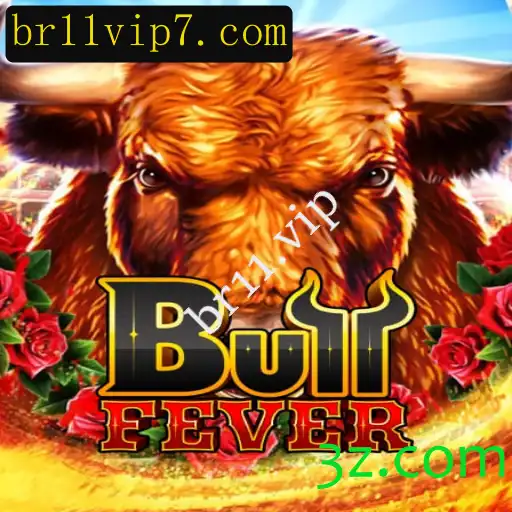 Descubra BullFever: Uma Experiência de Jogo Inovadora com br11.vip