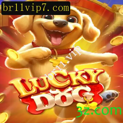 Descubra o Fascinante Mundo de LuckyDog