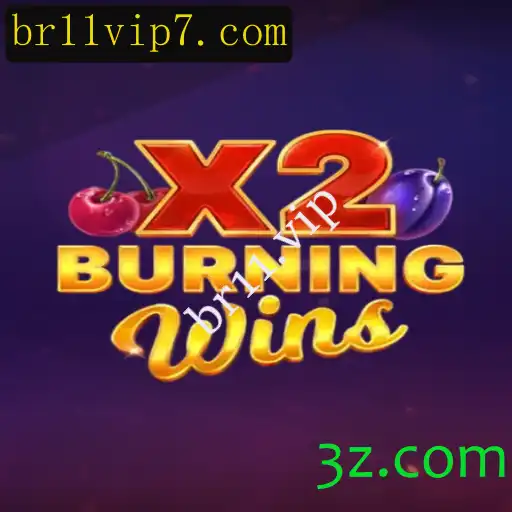 Descubra a Excitação de jogar BurningWinsX2 no br11.vip